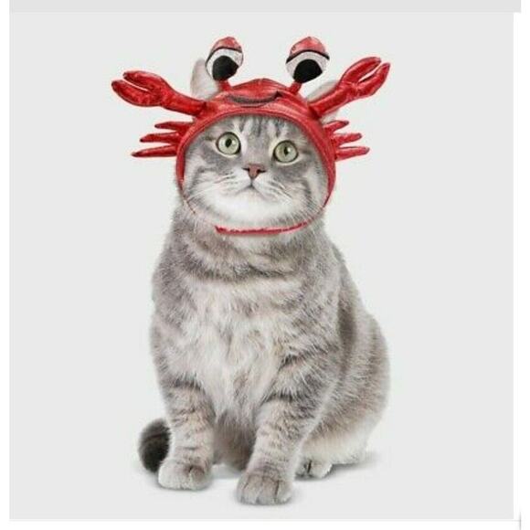 Hyde And Eek Cat Crab Fish Taco Costume Halloween Red Shiny Headpiece Hat NWT - Picture 2 of 7